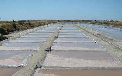 Marais salants de Fier