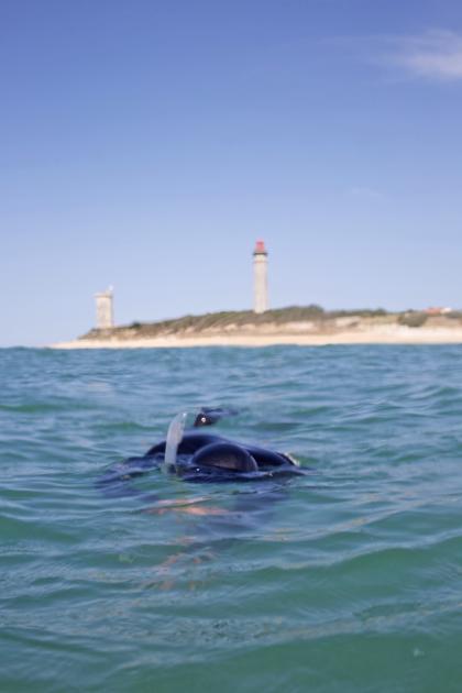 Pche au phare les Baleines