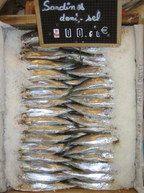 marche sardine