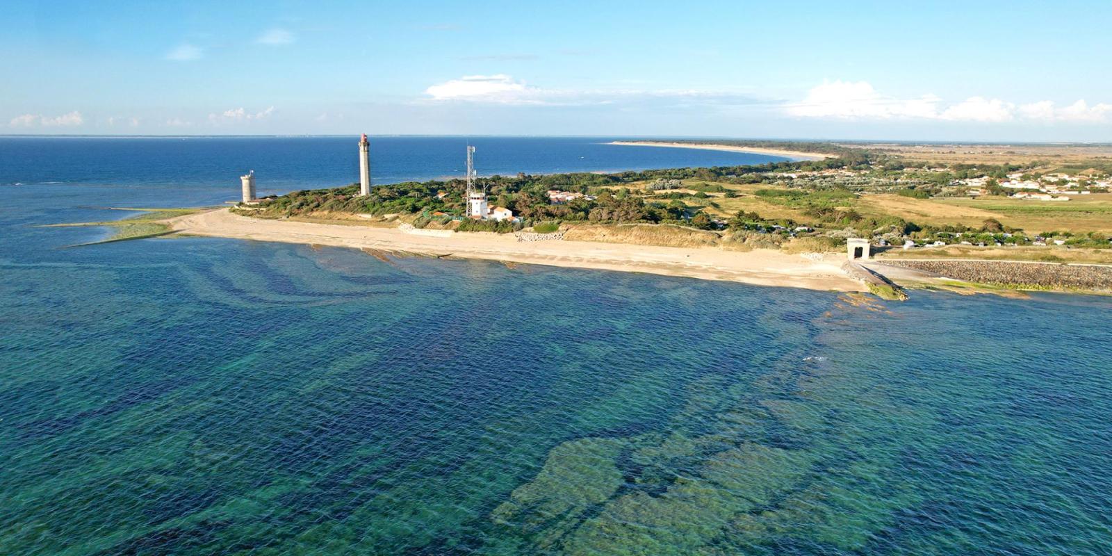 pointe des baleines patricia carneiro